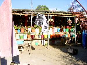 DSC02265 Bardomiano and Consuelos courtyard.jpg